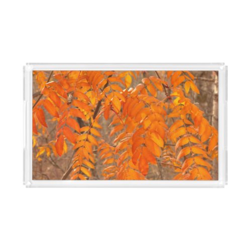 Mountain Ash Leaves _ Autumn Acrylic Tray