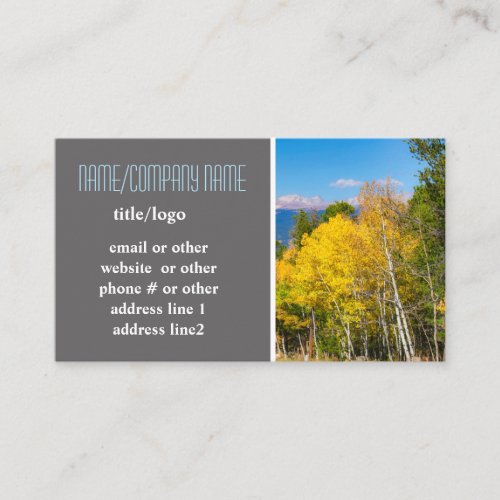 mountain aspen trees autumn yellow nature photo business card