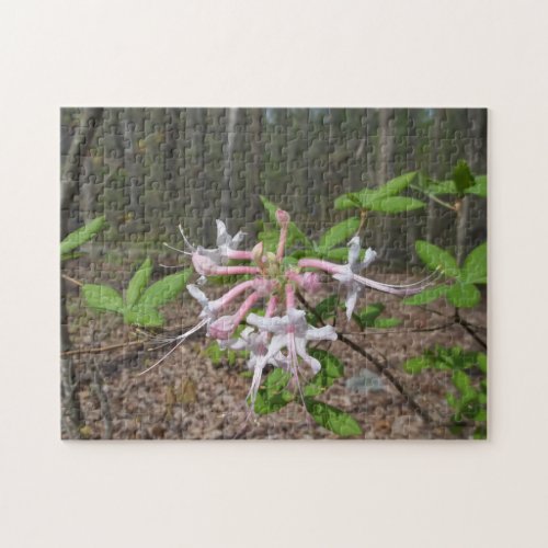 Mountain Azalea Jigsaw Puzzle