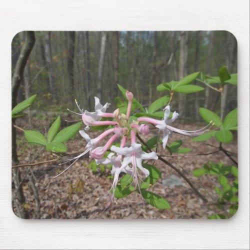 Mountain Azalea Mouse Pad