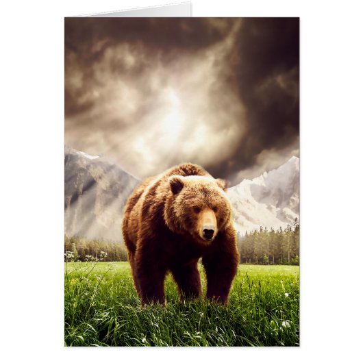 Mountain Bear Cards (Front)