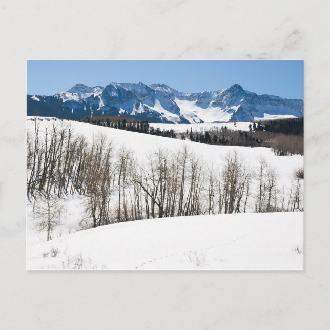 Mountain Beauty Postcard (Front)