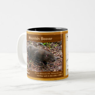 Mountain Beaver, an endangered rodent , his own - Two-Tone Coffee Mug