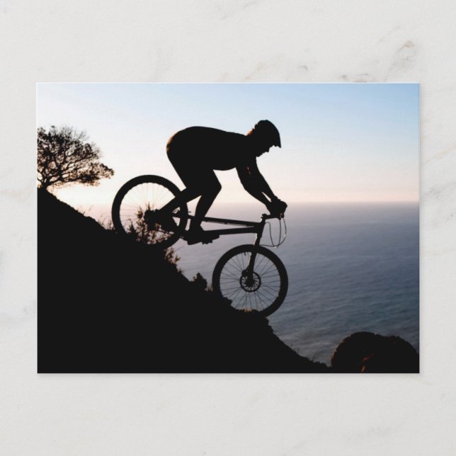Mountain Bike Rider. Lions Head, Cape Town Postcard (Front)