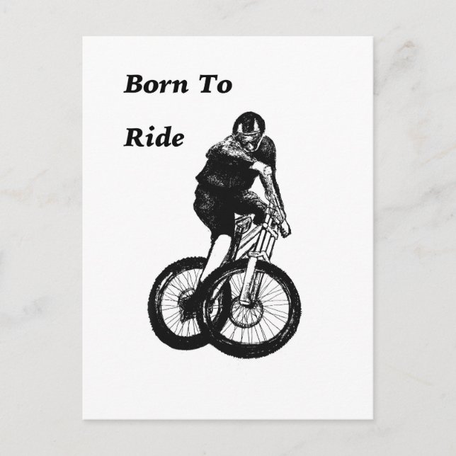 Mountain Biker MTB BMX CYCLIST Cyclo cross Postcard (Front)