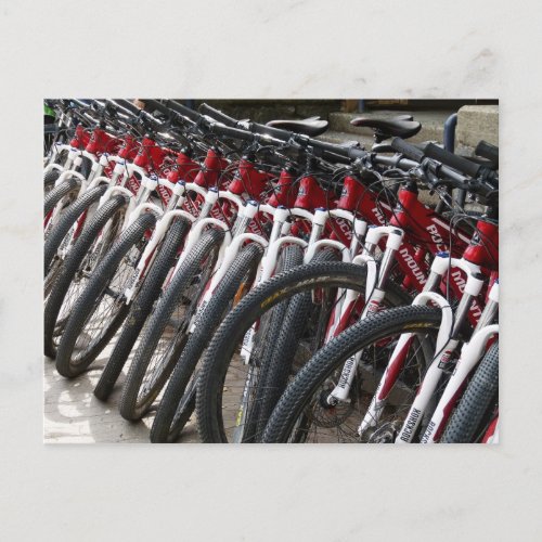 Mountain bikes in a row postcard
