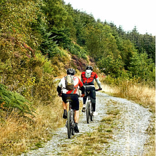 MOUNTAIN BIKING CANVAS PRINT