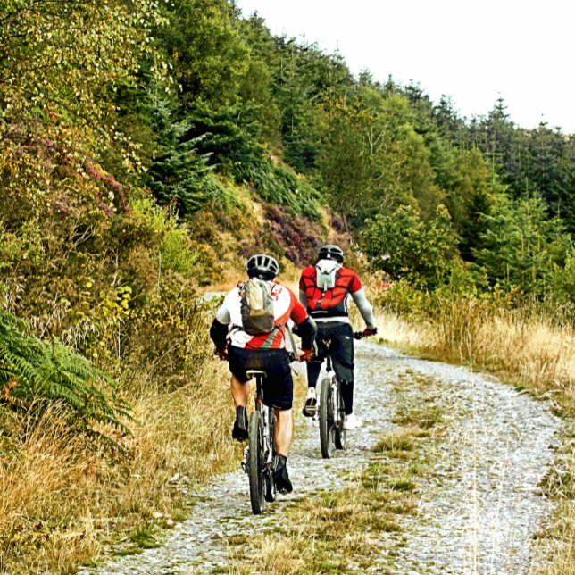MOUNTAIN BIKING CANVAS PRINT (Creator Uploaded)