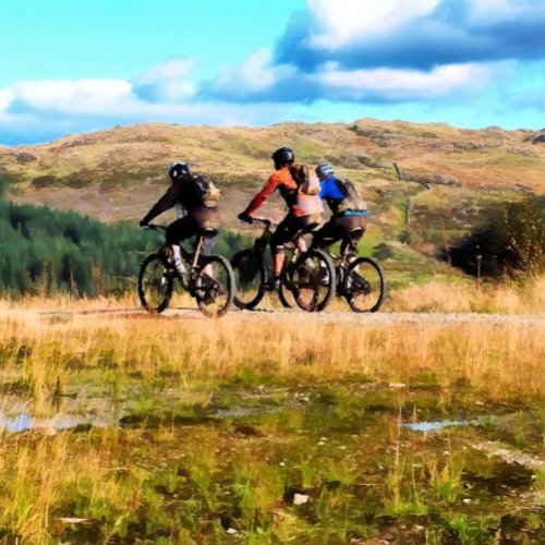 MOUNTAIN BIKING PHOTO PRINT