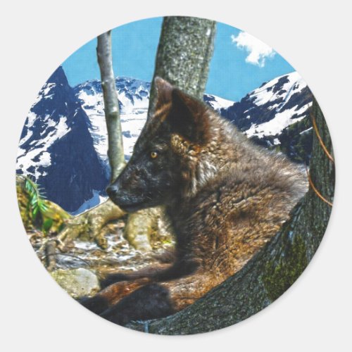 Mountain Black Wolf Resting by Trees Wildlife Art Classic Round Sticker