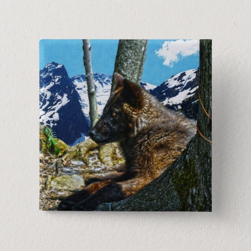 Mountain Black Wolf Resting by Trees Wildlife Art Pinback Button