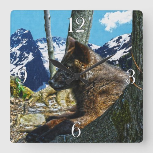 Mountain Black Wolf Resting by Trees Wildlife Art Square Wall Clock