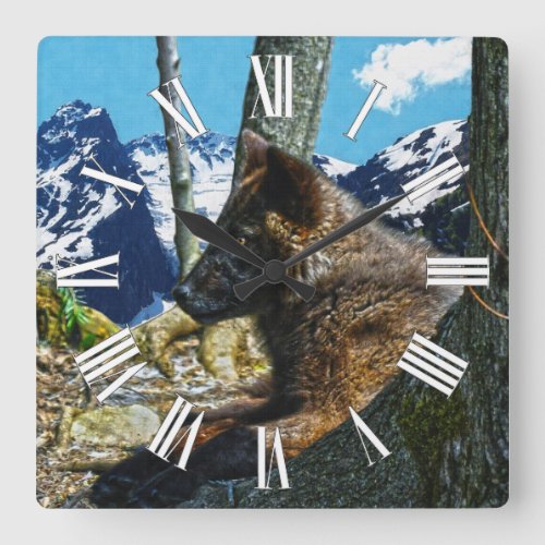 Mountain Black Wolf Resting by Trees Wildlife Art Square Wall Clock