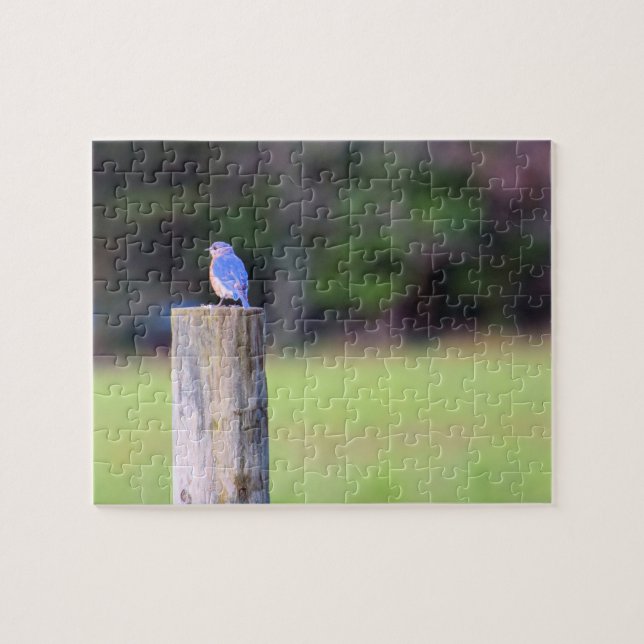 Mountain Blue Bird - 8x10 inch Jigsaw Puzzle (Horizontal)