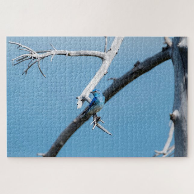 Mountain Blue Bird Jigsaw Puzzle (Horizontal)
