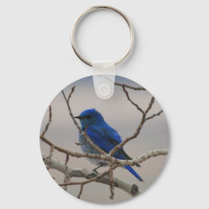 Mountain Blue Bird Keychain