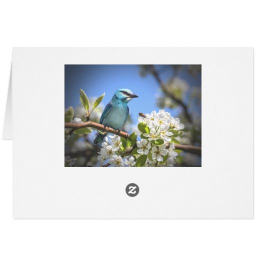 Mountain Bluebird (Back Horizontal)