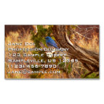Mountain Bluebird at Arches National Park Business Card Magnet