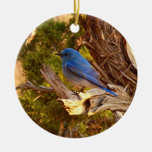 Mountain Bluebird at Arches National Park Ceramic Ornament