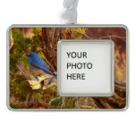 Mountain Bluebird at Arches National Park Christmas Ornament