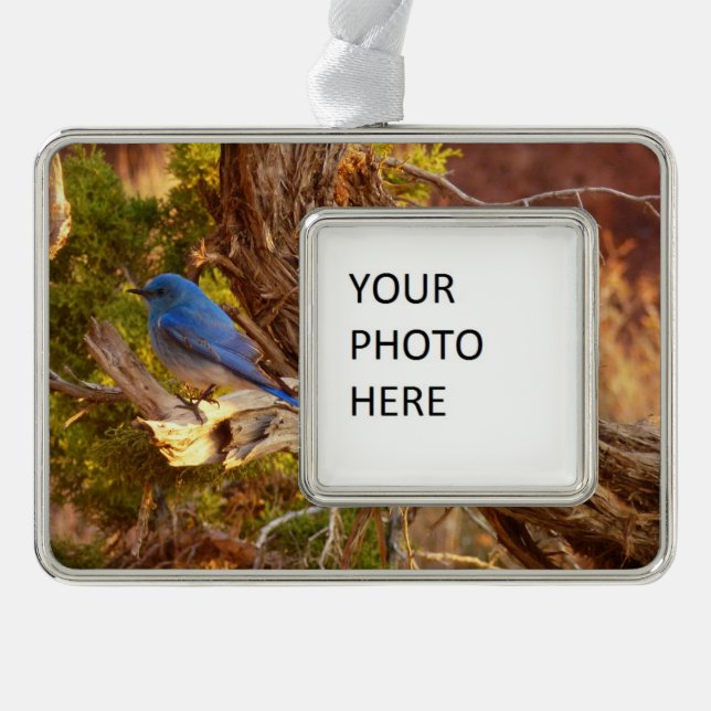 Mountain Bluebird at Arches National Park Christmas Ornament (Front)
