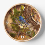 Mountain Bluebird at Arches National Park Clock