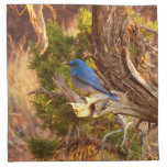 Mountain Bluebird at Arches National Park Cloth Napkin