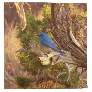 Mountain Bluebird at Arches National Park Cloth Napkin