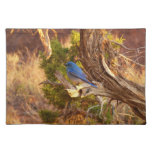 Mountain Bluebird at Arches National Park Cloth Placemat