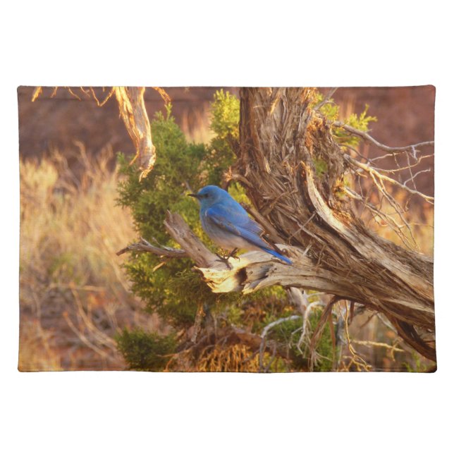 Mountain Bluebird at Arches National Park Cloth Placemat (Front)