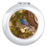Mountain Bluebird at Arches National Park Compact Mirror