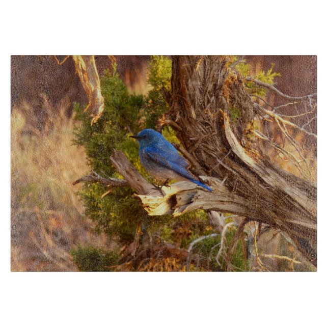 Mountain Bluebird at Arches National Park Cutting Board (Front)