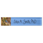 Mountain Bluebird at Arches National Park Desk Name Plate