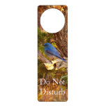Mountain Bluebird at Arches National Park Door Hanger