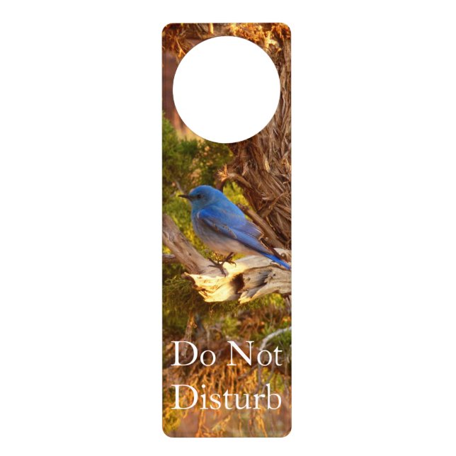 Mountain Bluebird at Arches National Park Door Hanger (Front)
