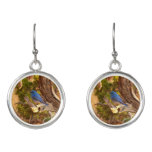 Mountain Bluebird at Arches National Park Earrings