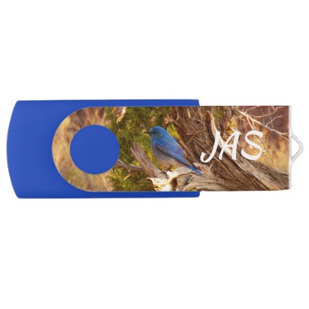 Mountain Bluebird At Arches National Park Flash Drive