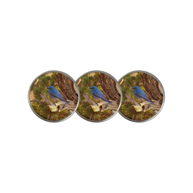 Mountain Bluebird at Arches National Park Golf Ball Marker (3 Up)