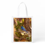 Mountain Bluebird at Arches National Park Grocery Bag