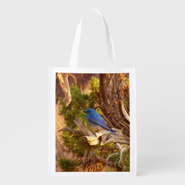 Mountain Bluebird at Arches National Park Grocery Bag (Front)