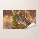 Mountain Bluebird at Arches National Park Hand Towel