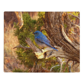 Mountain Bluebird at Arches National Park Jigsaw Puzzle