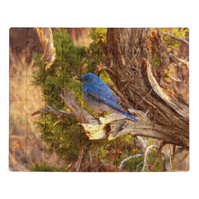 Mountain Bluebird at Arches National Park Jigsaw Puzzle (Puzzle Horizontal)