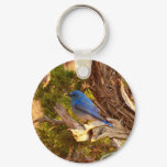 Mountain Bluebird at Arches National Park Keychain