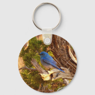 Mountain Bluebird at Arches National Park Keychain