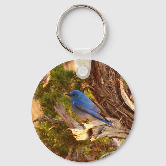 Mountain Bluebird at Arches National Park Keychain (Front)