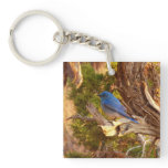 Mountain Bluebird at Arches National Park Keychain