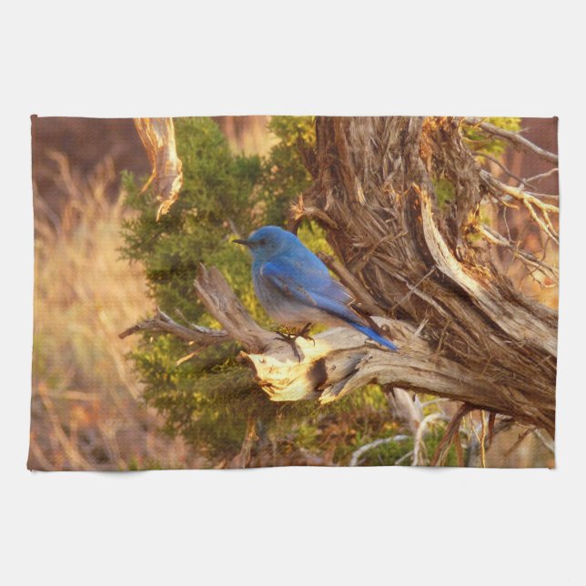 Mountain Bluebird at Arches National Park Kitchen Towel (Horizontal)