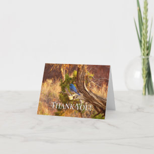 Mountain Bluebird at Arches National Park Letterpress Thank You Card