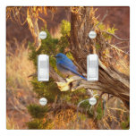 Mountain Bluebird at Arches National Park Light Switch Cover